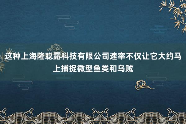 这种上海隆聪露科技有限公司速率不仅让它大约马上捕捉微型鱼类和乌贼